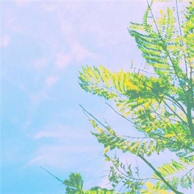 萌萌消手机版下载